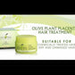 Olive Plant Placenta Hair Treatment